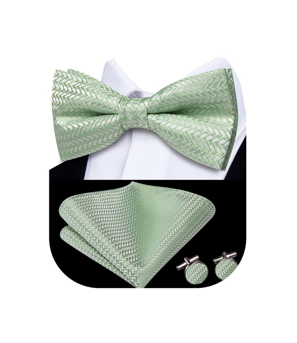 4099 Sage Green Paisley Striped Bowtie Set Pre-tied Bowtie and Pocket